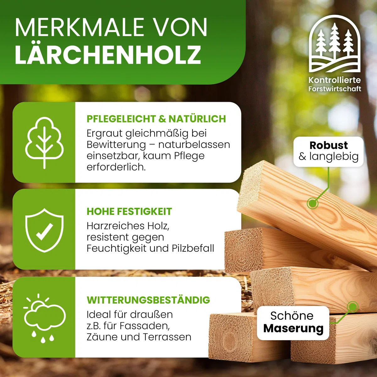 Pfosten Kantholz Lärche 70 x 70 mm Höhe 120 cm Konstruktionsholz 4-seitig glatt