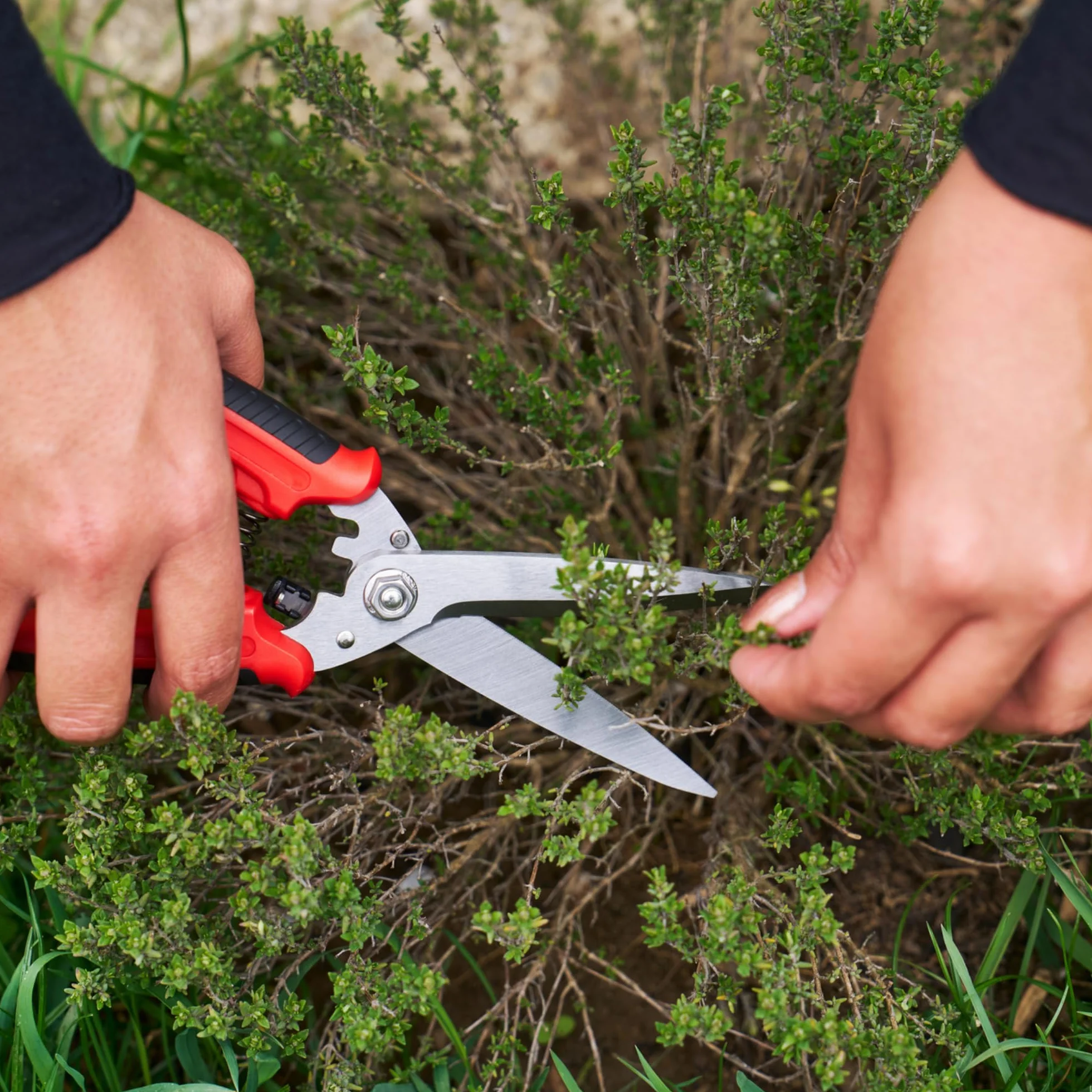 FELCO 456 Universalschere aus Edelstahl – Vielseitige Mehrzweck-Schere für Garten, Haushalt und Werkstatt, gezahnte Klinge, ergonomischer Griff, langlebig und präzise